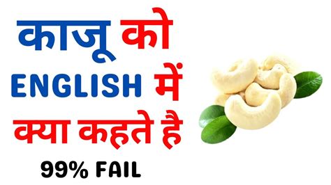 काजू (Kaju) meaning in English .